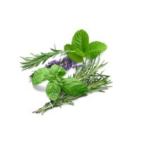 Aromatic Notes