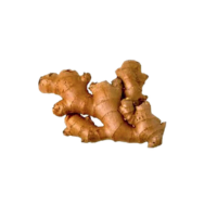 Jamaican Ginger