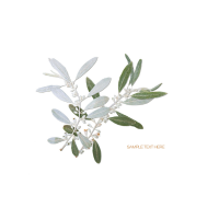 Olive Blossom