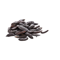 Tonka Bean Absolute