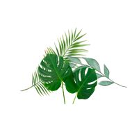 Tropical Green Leaves