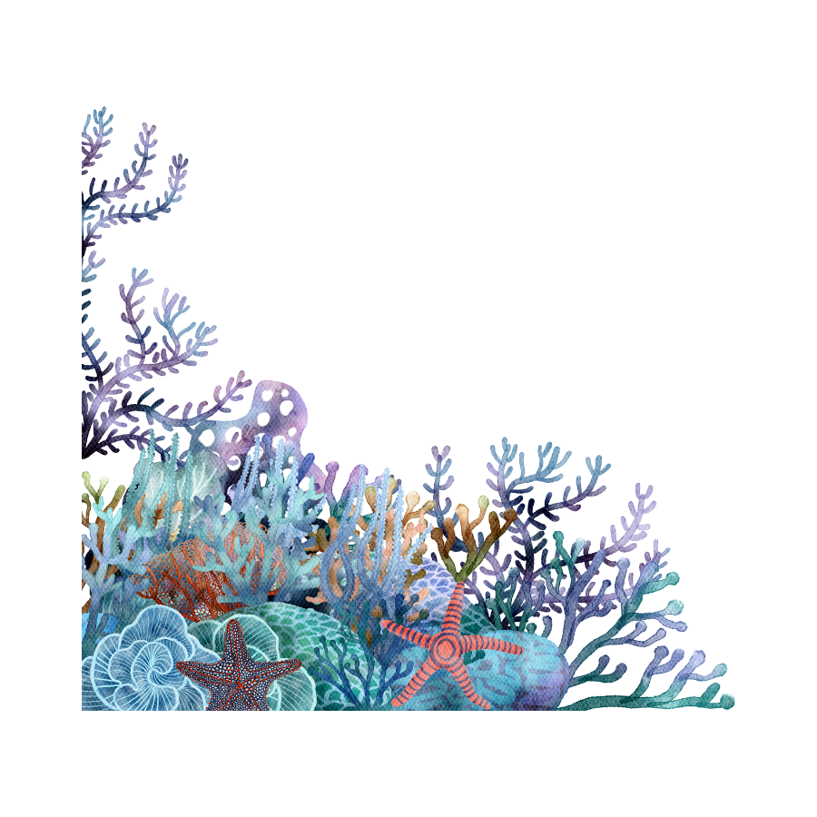 AQUATIC MARINE