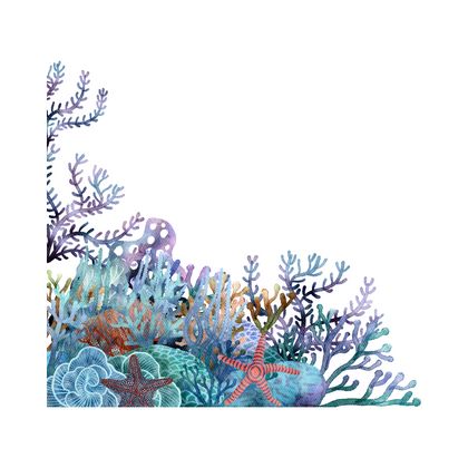 AQUATIC MARINE