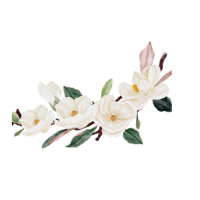 White Bouquet