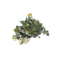 White Patchouli