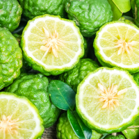 Sicilian Bergamot