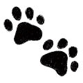 Animalic